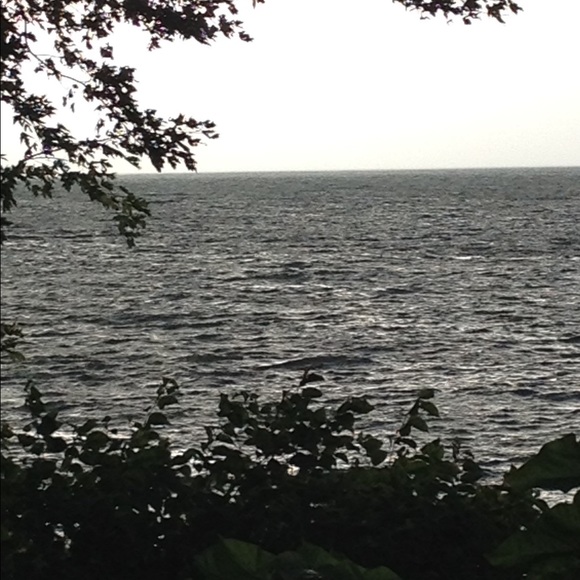 Meet your Posher, Janet - Picture 1 of 1